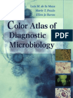 Color Atlas of Diagnostic Microbiology