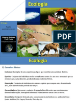 Ecologia conceitos básicos