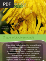 (3) Biodiversidade_-_Ecologia