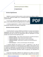 Estrutura e Estratégia Organizacional_Parte 1_Prof. Rodrigo Rennó