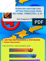 6.perubahan Anatomi Dan Adaptasi Fisiologi Dalam Kehamilan