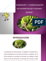 Empresa de Platanos