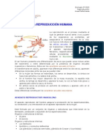 reproduccion_humana.pdf