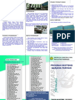 Brosur Ekstensi 2012 PDF