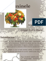 Prezentare Oana Maria Crisan-2003