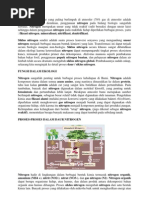Download asimilasi by prantotti SN142026426 doc pdf