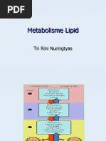 Download Metabolisme Lipidppt by Yusniar Niar SN142030267 doc pdf