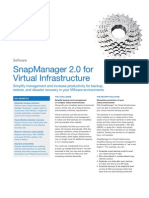 DS 2741 Snap  Manager Virtual Infrastructures