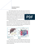 Teori Dasar Praktikum Bioklin