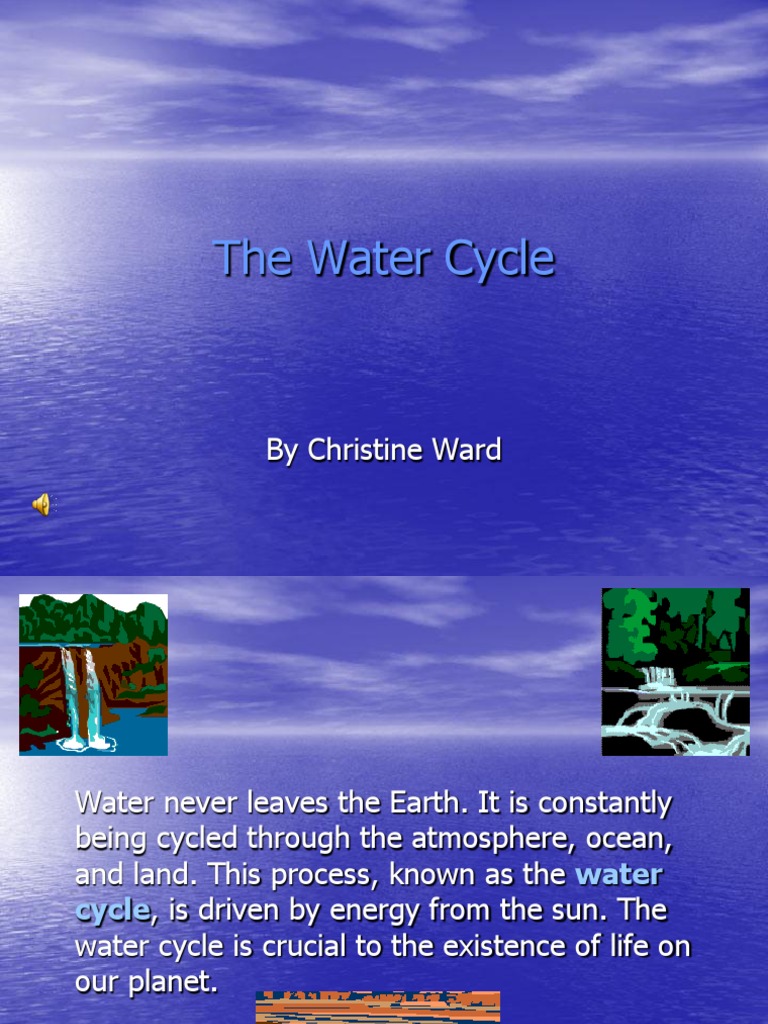 The Water Cycle Explained | PDF | Social Science | Home & Garden