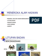 Meneroka Alam Haiwan