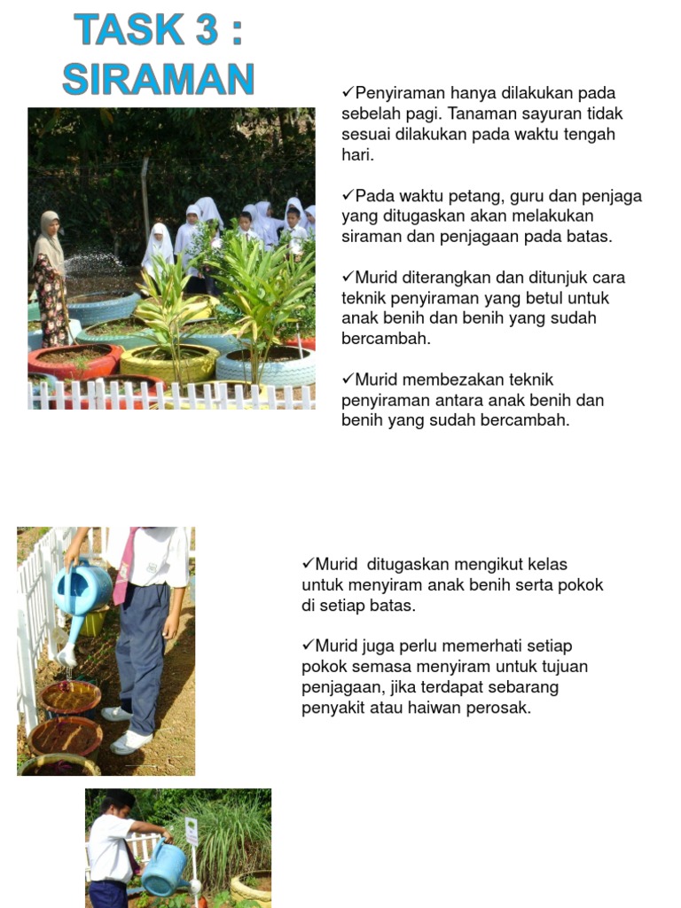 Planet Green Project Pdf