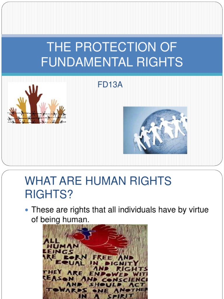 2012protection of Fundamental Rights | PDF | Human Rights | Treaty