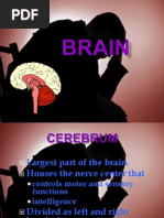 Copy of Psychiatric Nursing