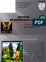 Sistema Silvopastoril Unid 1