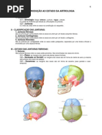  Sistema Articular