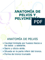Anatomia de Pelvis y Pelvimetria