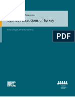 Cypriot Perceptions of Turkey