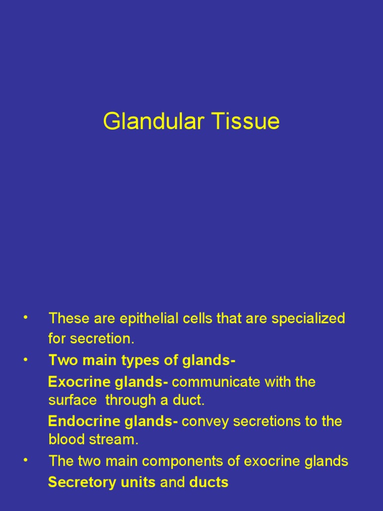 Glandular Tissue PDF