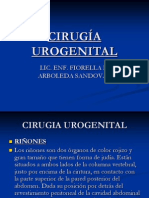 Cirugía Urogenital