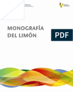 Monografia Limon2011