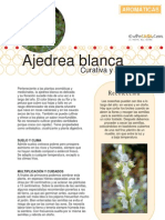 Ajedrea Blanca