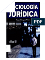 MÁRQUEZ PIÑERO. Rafael, SOCIOLOGÍA JURÍDICA - Trillas, Méx. 2006