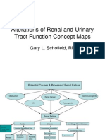 Renal Concept Map