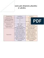 Cuadro Comparativo Anaerobica y Aerobica