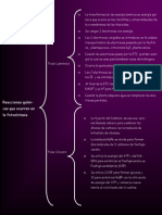 Reaccion Quimica de La Fotosintesis