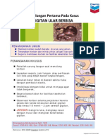Poster - Penanganan - Gigitan Ular - Update2011 PDF