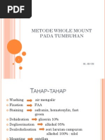 Download METODE WHOLE MOUNTpdf by Dini QHy SN142149557 doc pdf