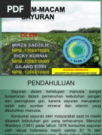 Download Pp Macam-macam Sayuran by Rizal Fahmi SN142159136 doc pdf