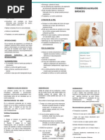 Download Triptico Primeros Auxilios Word by bellajenn235 SN142161647 doc pdf