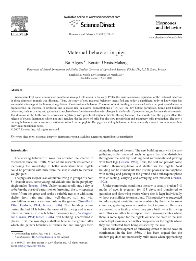Maternal Behavior in Pigs | PDF | Domestic Pig | Lactation