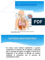 Sistema Respiratorio