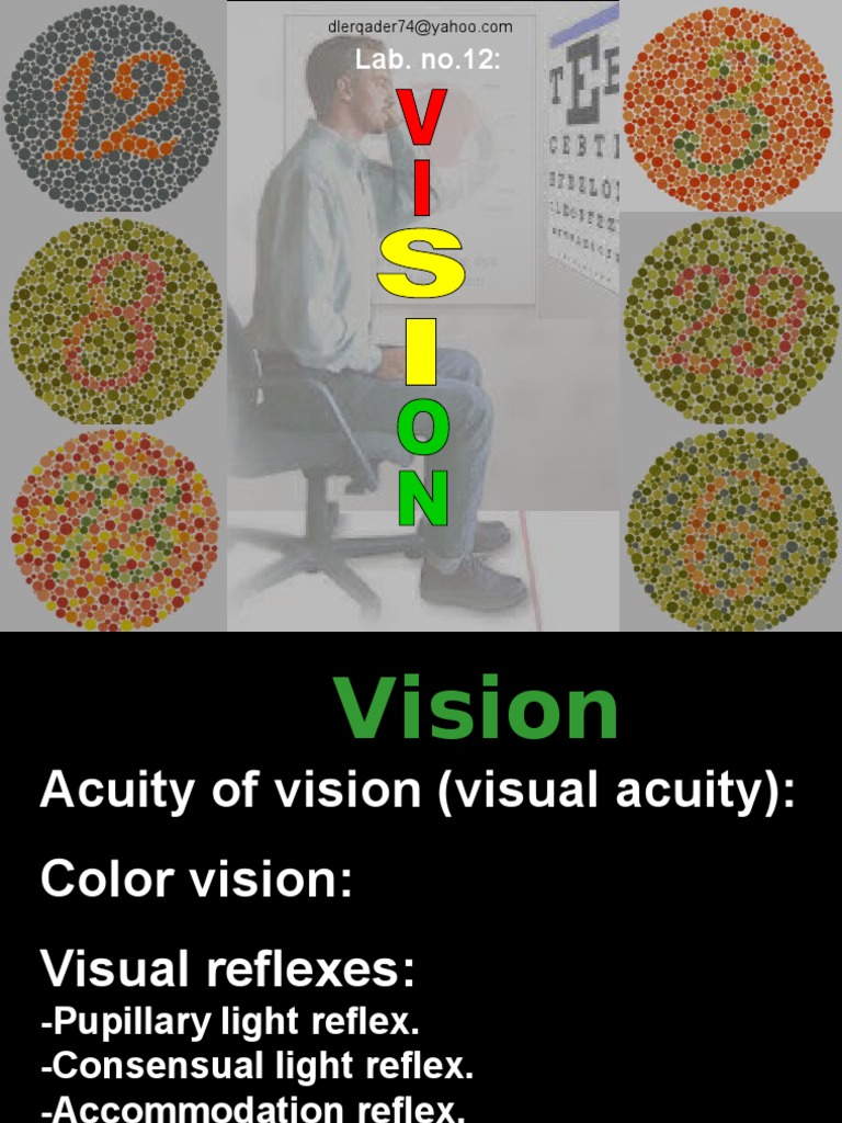 Vision Testing Methods and Reflexes | PDF | Visual Acuity | Visual ...