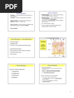 Sensory Receptors Sensory Receptors: Exteroreceptors