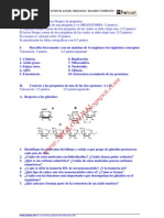 65931213 Biologia Selectividad Examen 6 Resuelto Castilla La Mancha Www Siglo21x Blogspot