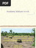 Download aplikasi bakteri pelarut fosfat by maemuna SN14218540 doc pdf