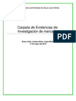 Carpeta de Evidencias IM