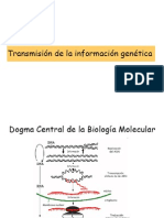 3 Introduccion Genetica Microbiana