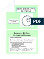 DISCO GERMINATIVO BILAMINAR EMBRIOLOGÍA SILVIA