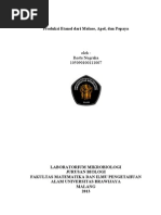 Download Produksi etanol dari limbah pertanian by Restu Nugraha SN142213053 doc pdf