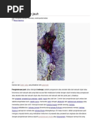 Download Penginderaan jauh by Muhammad Soffa Firdaus SN142218601 doc pdf