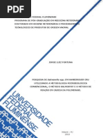 Tese de Doutorado - Jorge Luiz Fortuna