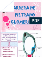 PDF-Barrera de Filtrado Glomerular