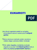 Eukarioti