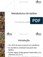 Metabolism o Lip I Dios