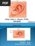 Download The Ear by Jasmin Jacob SN14225388 doc pdf